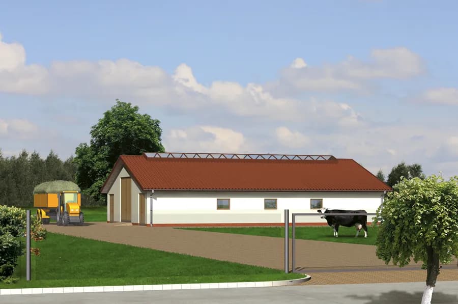 Ile kosztuje budowa obory dla 30 krów? Szczegółowy kosztorys