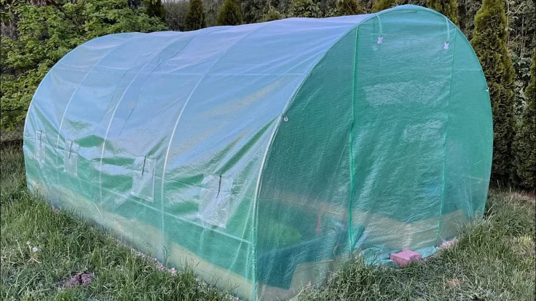 Ile kosztuje wybudowanie szklarni? Zaskakujące ceny i czynniki wpływające na koszty
